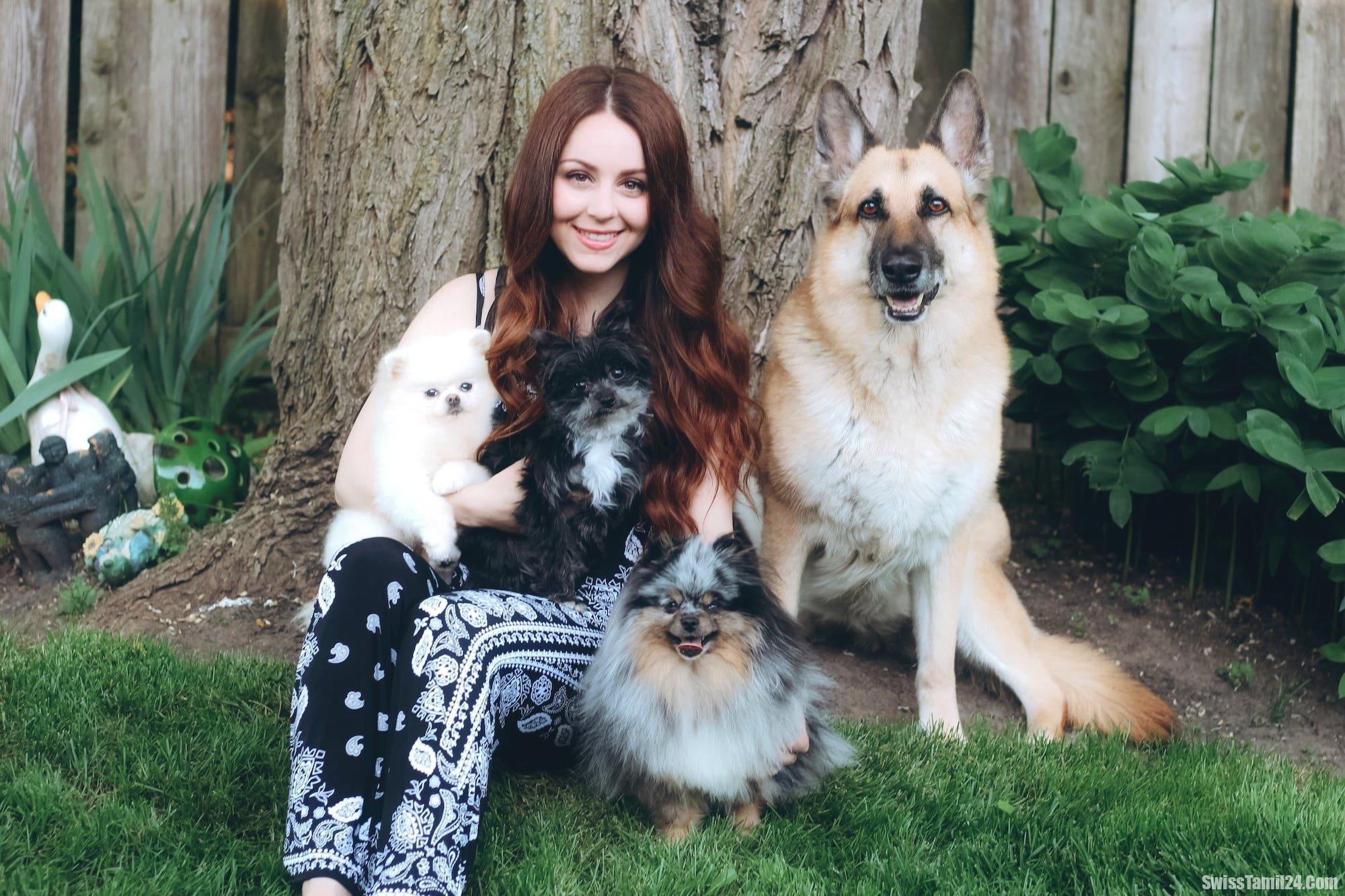 சூரிச்சில் நாய் வளர்ப்பவர்களுக்கு வெளியான முக்கிய அறிவித்தல்