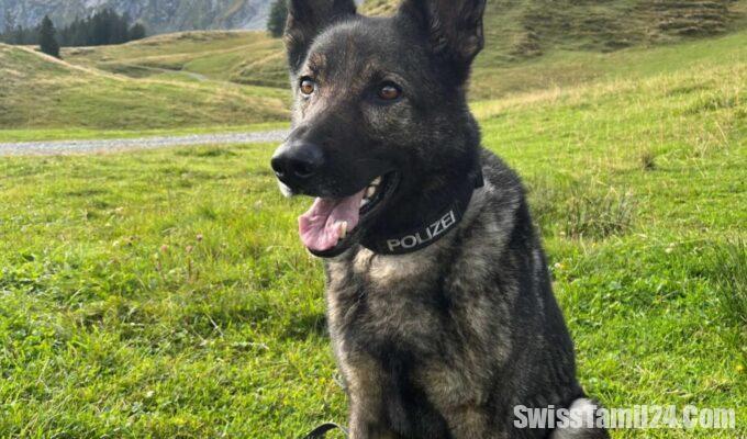 லுசேர்ன்னில்