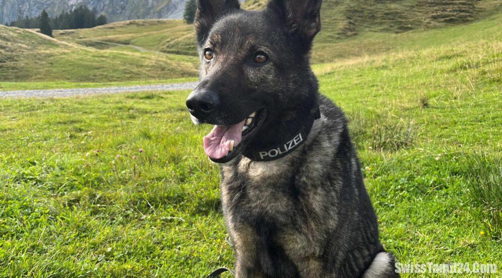 லுசேர்ன்னில் கார்களில் திருடமுயன்றவனை அடையாளம் காட்டிய போலீஸ் நாய்