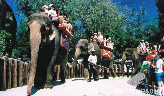 Knies Kinderzoo