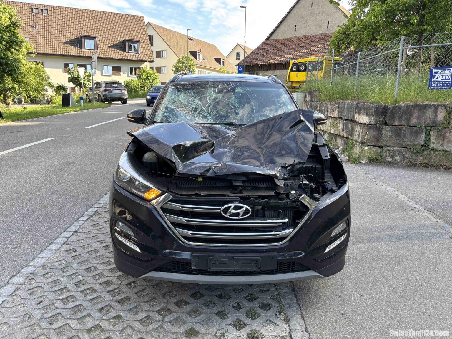 உரிமையாளரிடம் இருந்து தப்பியோடிய குதிரை காரில் மோதி விபத்து