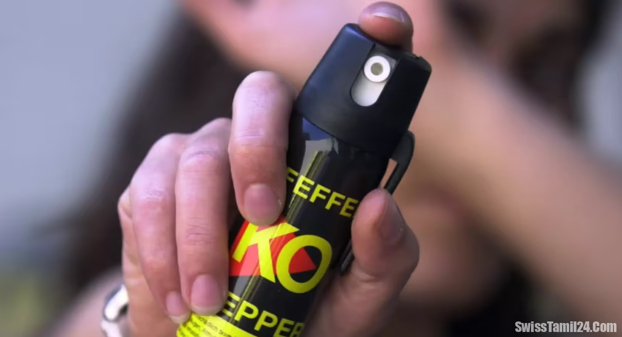 லுசேர்ன்னில் வீட்டுக்குள் புகுந்த கொள்ளையர்கள் : தடுக்க முற்பட்டவர் மீது தாக்குதல்.!!