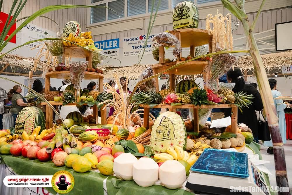 WhatsApp Image 2025 05 13 at 23.25.37 6036d4ff