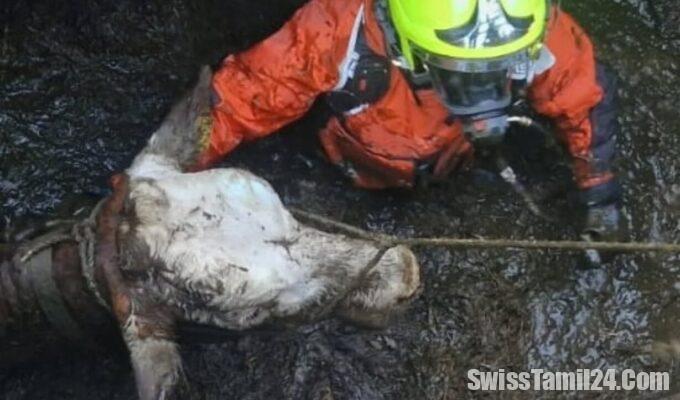 503029076 18313071190232706 1159174001755558003 n 1229x1536 1