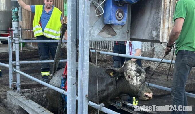 503101303 18313071208232706 8642004289503424009 n 1229x1536 1