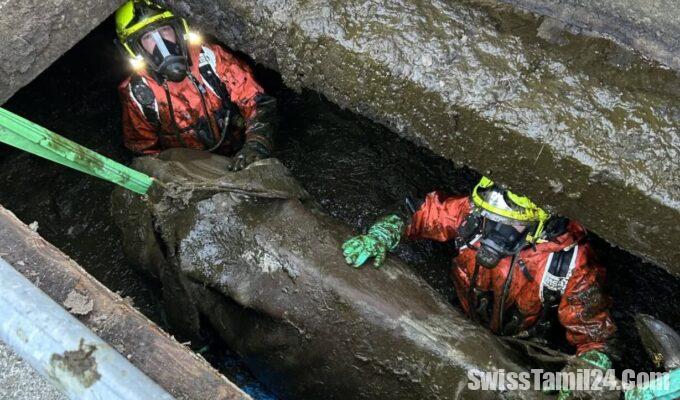 503496972 18313071199232706 497336425709248790 n 1229x1536 1