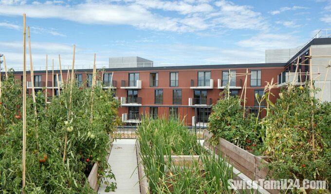 Lausanne wants organic vegetable gardens in front of every building