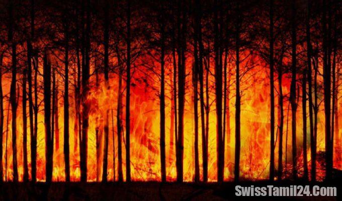 fire alert