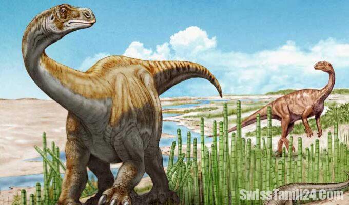 டைனோசர் எலும்புக்கூடு மீட்பு