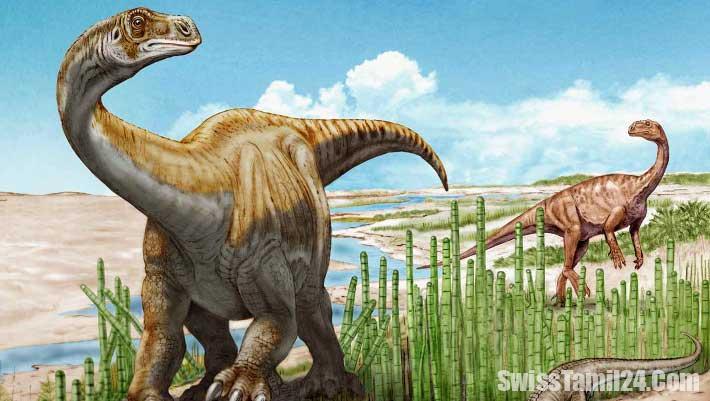 சுவிஸில் 206 மில்லியன் ஆண்டுகள் பழமையான டைனோசர் எலும்புக்கூடு மீட்பு