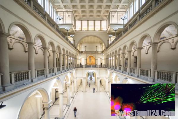 உடலிலுள்ள நல்ல செல்களை தங்களுக்காக வேலைவாங்கும் புற்றுநோய் செல்கள்: ஒரு ஆச்சரிய கண்டுபிடிப்பு