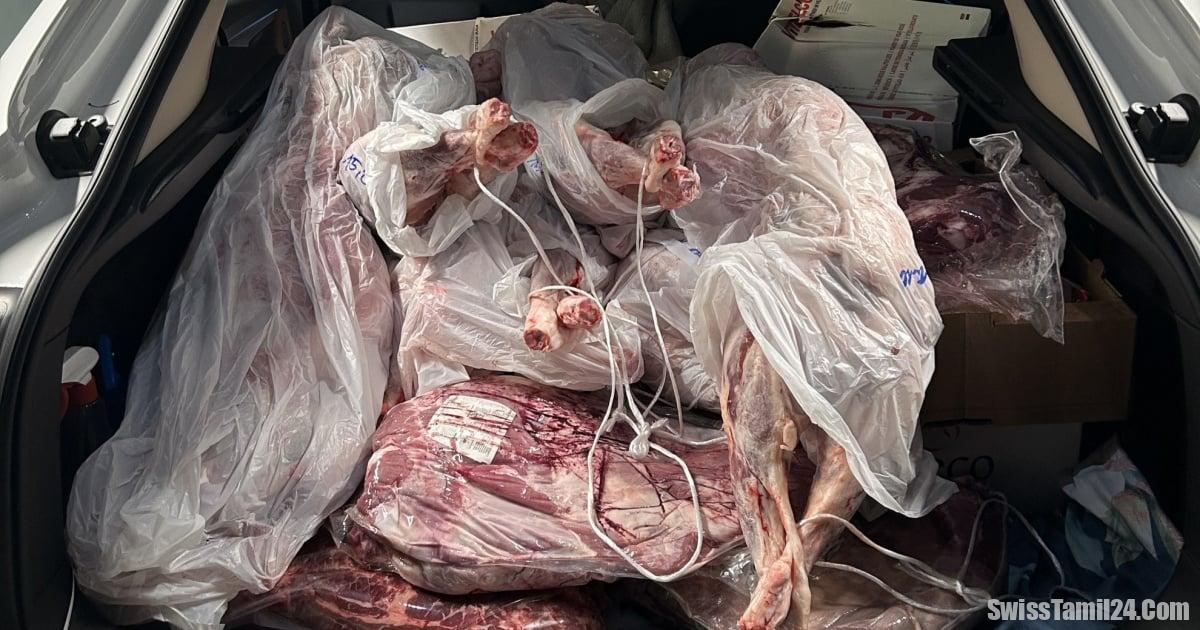 336 கிலோ இறைச்சி கடத்தல் : சிரிய ஓட்டுநர் மீது குற்ற விசாரணை