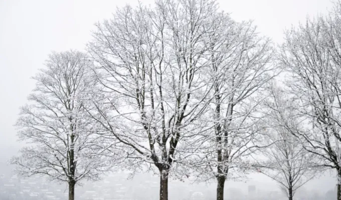 ஸ்விட்சர்லாந்துக்கு கடும் குளிர் அச்சுறுத்தல் – துருவ சுழலின் பலவீனம் காரணமா? 6 N1 5