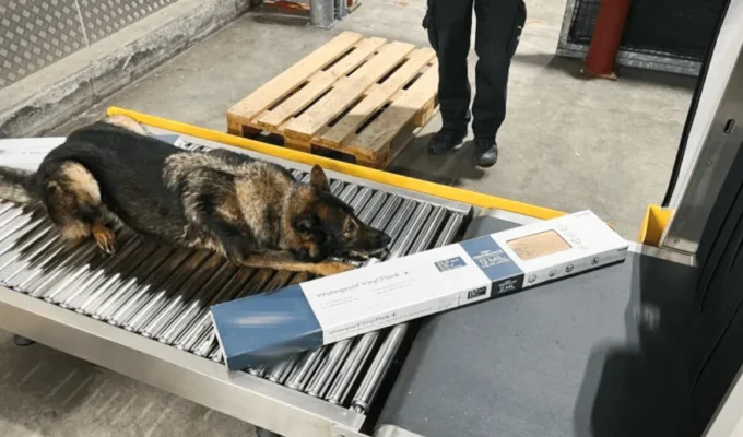 சூரிச் விமான நிலையம், ஹாஷீஸ் மீட்பு, சுவிட்சர்லாந்து போதைப்பொருள் கைது, Zurich Airport Drug Seizure, Swiss Police News, Swiss Tamil News, Zurich Canton Police