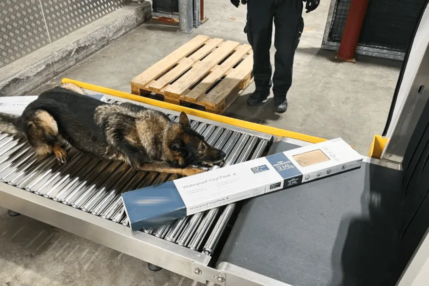 சூரிச் விமான நிலையத்தில் பெருந்தொகை போதைப் பொருள் மீட்பு