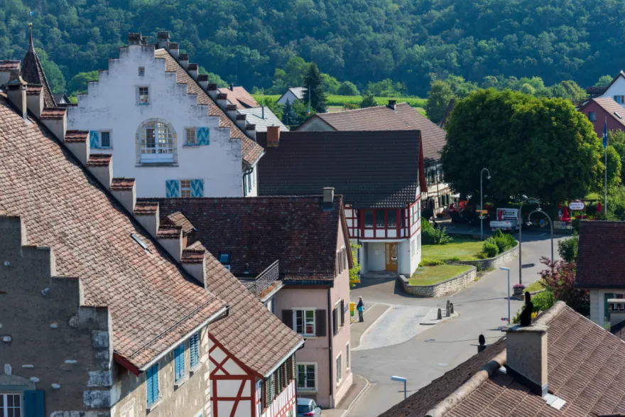 2055 வரை சூரிக் மாநில மக்கள் தொகை மெதுவாக அதிகரிக்கும் என கணிப்பு