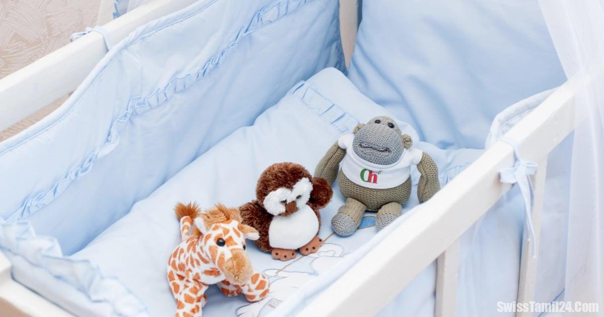 சுவிட்சர்லாந்தில் குழந்தை பெற விரும்பாத தம்பதிகள் : பிறப்பு வீதம் வரலாற்றில் இல்லாத அளவுக்கு சரிவு.!