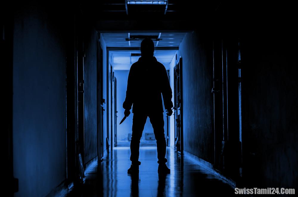 லுகானோ பகுதியில் கடுமையான வன்முறை சம்பவத்தில் ஈடுபட்ட இருவர் போலீசாரால் கைது