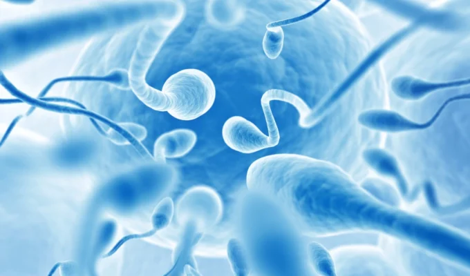 சுவிஸ் ஆய்வு, விந்தணு தரம், ஜெனீவா பல்கலைக்கழகம், EPFL, Human Reproduction, Swiss fertility study, Aarau, Bern, Switzerland news, சுவிஸ் செய்திகள்.