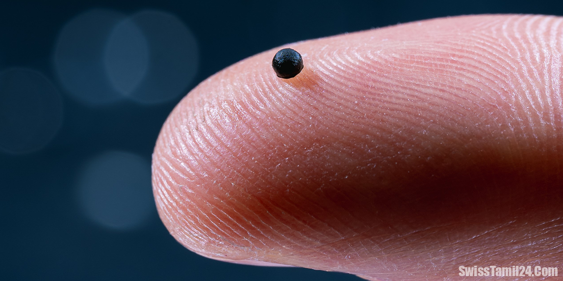 இரத்தக் குழாய்க்கு உள்ளேயே சென்று சிகிச்சையளிக்க உதவும் கடுகு விதையளவு ரோபோ: சுவிஸ் கண்டுபிடிப்பு