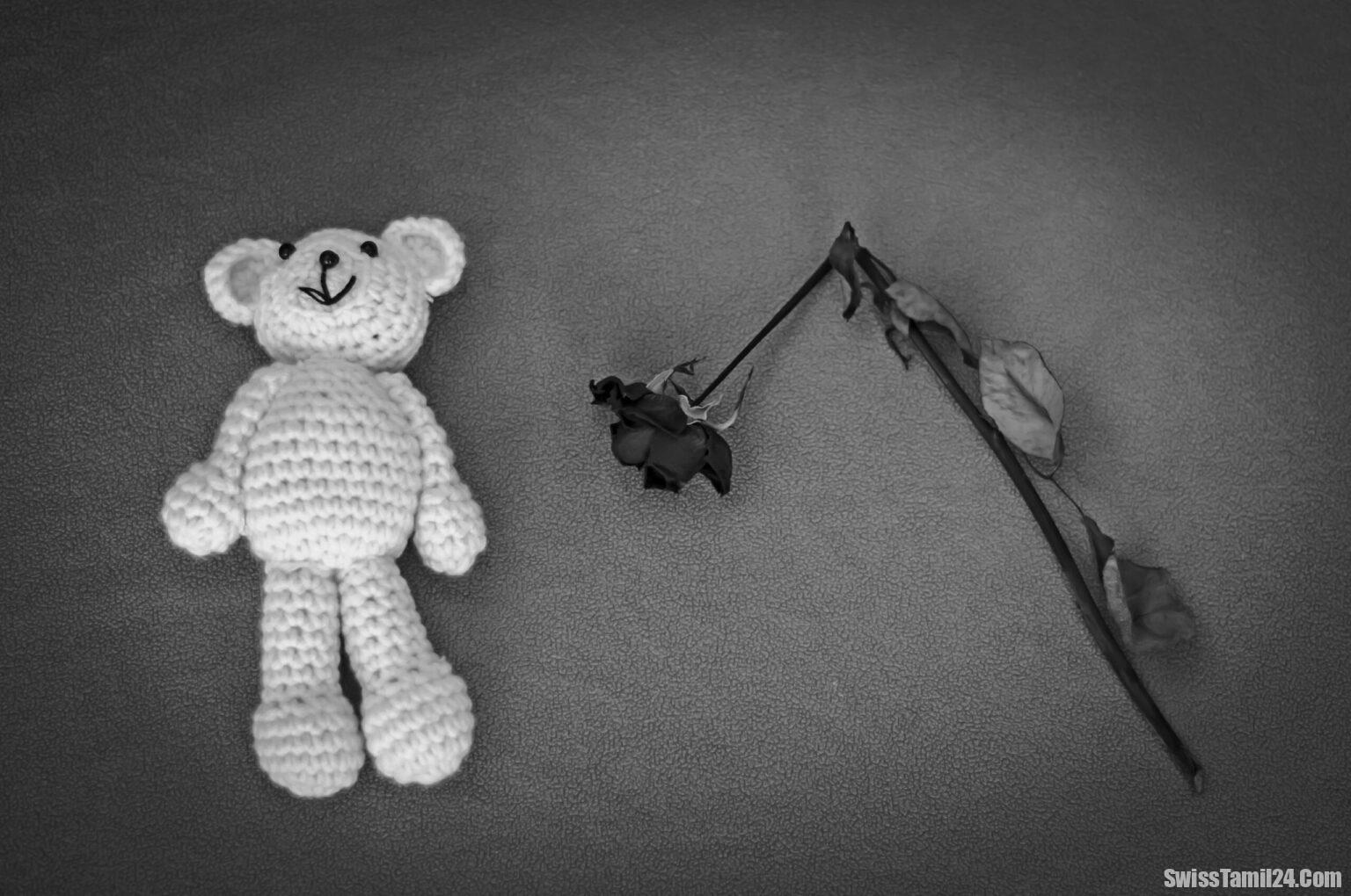 சுவிட்சர்லாந்தில் சாலை விபத்தில் 13 வயது உக்ரைன் சிறுமி உயிரிழப்பு