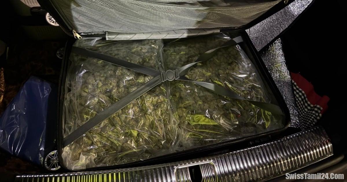 கிரௌவுண்டனில் 11 கிலோ மரிஹுவானாவுடன் நபர் கைது