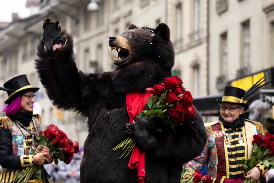 பெர்ன் கார்னிவலில் கரடி சின்னம் முன்னிலை; ஆனால் வருகையாளர்கள் குறைவு கவலை