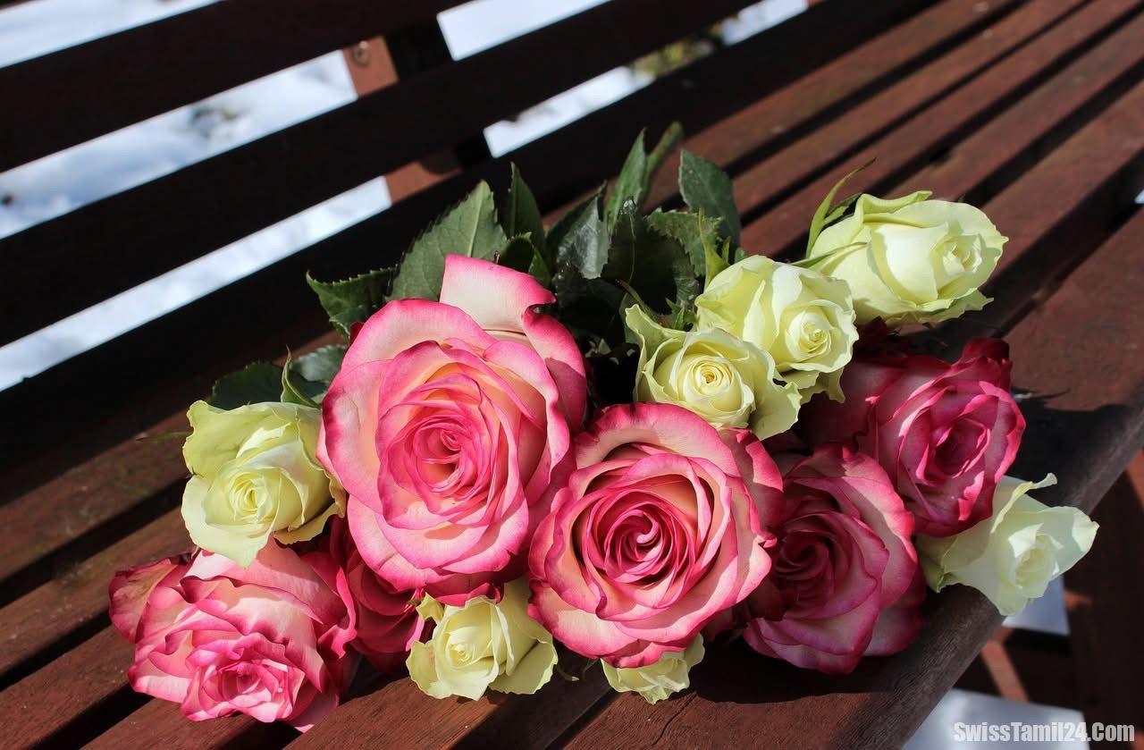 ப்ரீபோர்க் பேருந்து தீ விபத்து: உயிரிழந்தவர்களின் குடும்பங்களுக்கு அரசு இரங்கல்