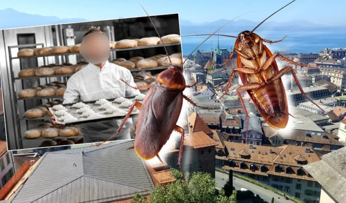 வோட் கன்டோன் பேக்கரி வழக்கு, Vaud bakery case, Switzerland food safety law, Lausanne 24 Heures, Swiss hygiene violations, Switzerland food inspection.