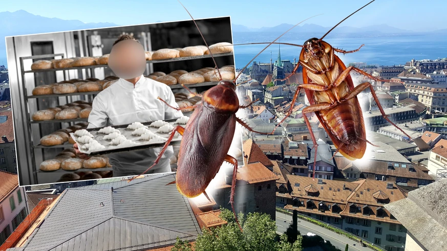 சுகாதார விதிமுறைகள் மீறல் – வோட் கன்டோனில் பேக்கரி உரிமையாளருக்கு 100 நாள் சிறை