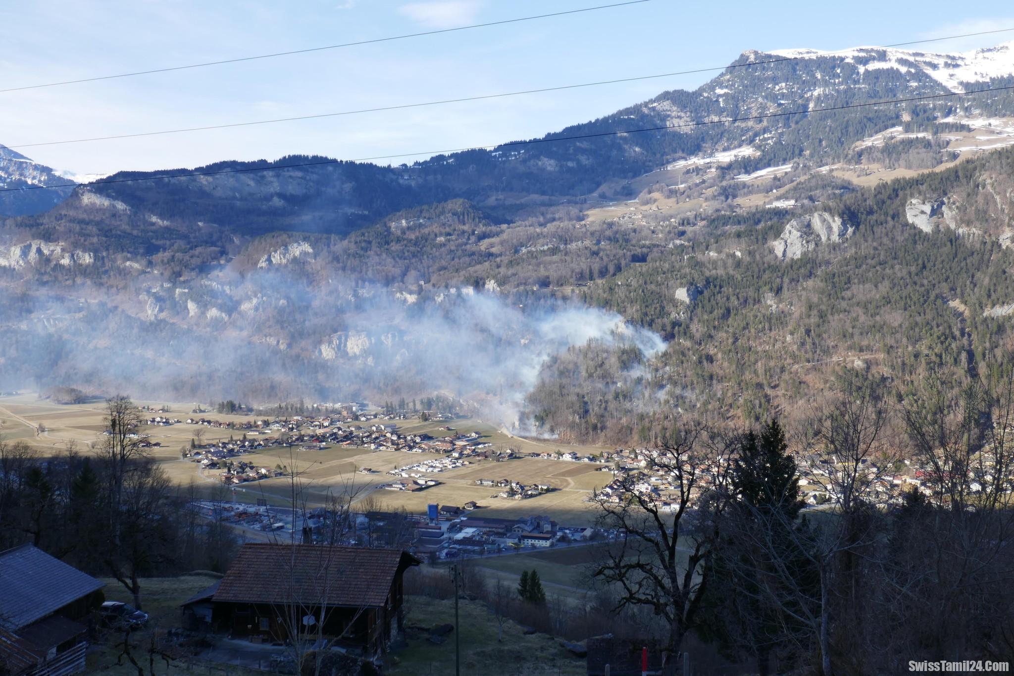 சுவிட்சர்லாந்தில் கடும் வறட்சி: காட்டுத்தீ அபாயம் அதிகரிப்பு