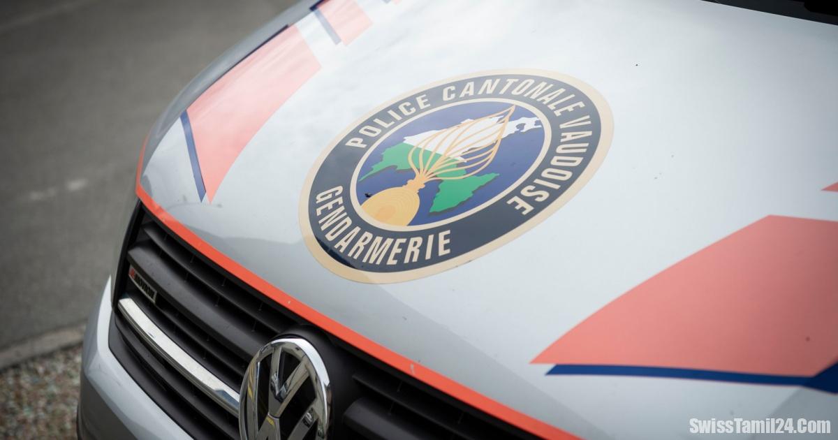 வோட் கன்டோனில் சிறுவர்கள் போலி அடையாள ஆவணங்கள் ஆர்டர் செய்தது வெளிச்சம்