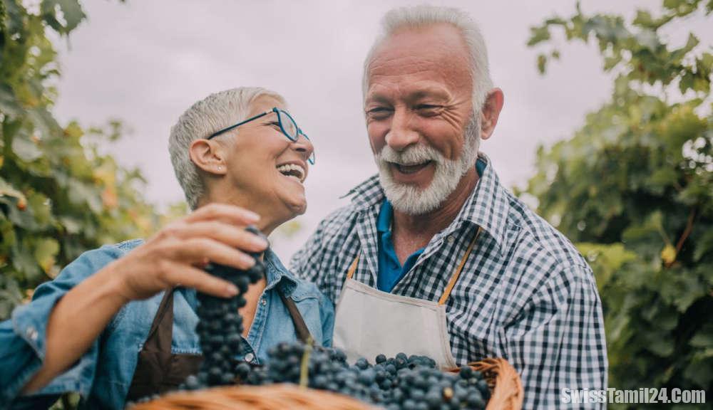 சுவிட்சர்லாந்தில் சமூக பாதுகாப்பு சேவைகள் டிஜிட்டல் மாற்றம்